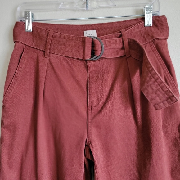 A New Day- Rust orange pants - Picture 5 of 6